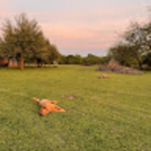 Meet your Posher, Daniela